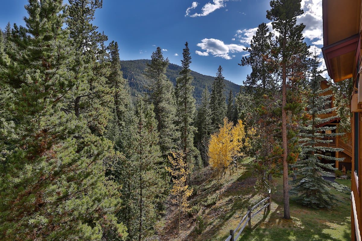 A view of trees and mountains from above.