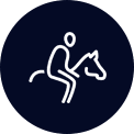 A person is riding on the back of a horse.